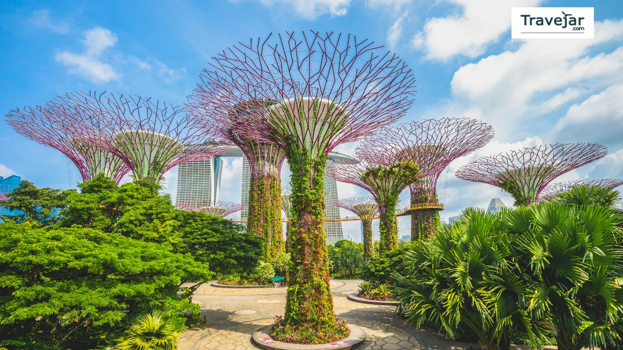 Gardens by the Bay